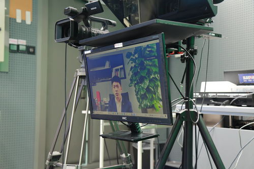 代建产业生态圈的构建者 当代置业张世红与影视美术置景服务的新篇章